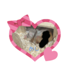 チャチャスタンプ2（個別スタンプ：27）