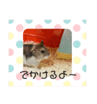チャチャスタンプ2（個別スタンプ：30）