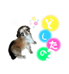皆んな♡（個別スタンプ：3）