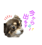 皆んな♡（個別スタンプ：5）
