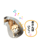 皆んな♡（個別スタンプ：9）