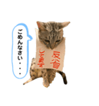 ベルだよ！（吹き出し）3（個別スタンプ：7）