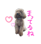 ぽっちゃんだよ♡3（個別スタンプ：6）