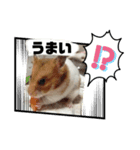 ミスターハムスター ベル（個別スタンプ：3）