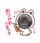 ネコのたくみくん2（個別スタンプ：2）