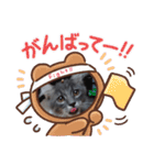 ネコのたくみくん2（個別スタンプ：4）
