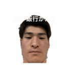 ゆうたとレコの日常スタンプ（個別スタンプ：13）