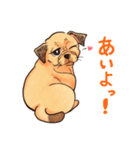 パグっぽい犬（個別スタンプ：1）