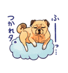 パグっぽい犬（個別スタンプ：13）