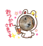 可愛いプレーリードッグのスタンプ（個別スタンプ：11）