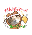 可愛いプレーリードッグのスタンプ（個別スタンプ：12）