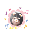 前田さん家のアイドルちゃん（個別スタンプ：19）