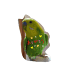 インコちゃん3（個別スタンプ：4）