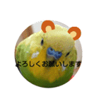 インコちゃん3（個別スタンプ：17）
