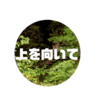心に希望が宿るスタンプ（個別スタンプ：9）