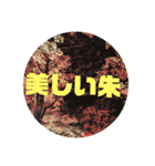 心に希望が宿るスタンプ（個別スタンプ：12）