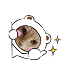 nekomakitvオリジナルスタンプ第10段目（個別スタンプ：1）