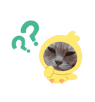 nekomakitvオリジナルスタンプ第10段目（個別スタンプ：2）