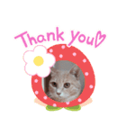 nekomakitvオリジナルスタンプ第10段目（個別スタンプ：8）