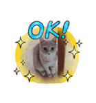 nekomakitvオリジナルスタンプ第10段目（個別スタンプ：15）