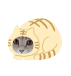 nekomakitvオリジナルスタンプ第10段目（個別スタンプ：20）