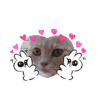 nekomakitvオリジナルスタンプ第10段目（個別スタンプ：21）
