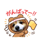 陸＆空くん一家（個別スタンプ：12）
