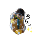 副島三兄弟（個別スタンプ：23）
