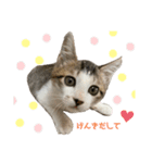 すずちゃんきほんのスタンプ（個別スタンプ：6）