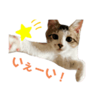 すずちゃんきほんのスタンプ（個別スタンプ：16）