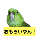 鳥さん関西弁だらけ(再販)（個別スタンプ：2）