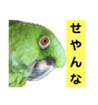 鳥さん関西弁だらけ(再販)（個別スタンプ：20）