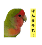 鳥さん関西弁だらけ(再販)（個別スタンプ：32）