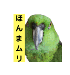 鳥さん関西弁だらけ(再販)（個別スタンプ：40）
