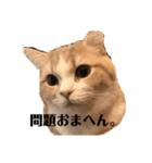 八雲vol.1（個別スタンプ：18）