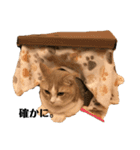 八雲vol.1（個別スタンプ：34）