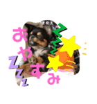 うちの♡保護っ子♡（個別スタンプ：3）