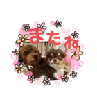 うちの♡保護っ子♡（個別スタンプ：6）