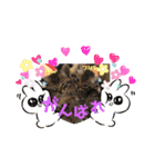 うちの♡保護っ子♡（個別スタンプ：7）