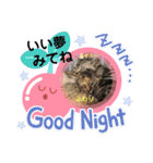 うちの♡保護っ子♡（個別スタンプ：9）