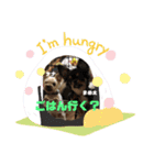 うちの♡保護っ子♡（個別スタンプ：10）