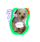 うちの♡保護っ子♡（個別スタンプ：14）
