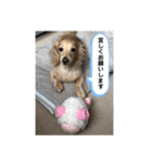 うちの子コロン2（個別スタンプ：11）