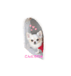 りおのあコロニー❤️1きゅん❤️（個別スタンプ：1）