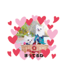 りおのあコロニー❤️1きゅん❤️（個別スタンプ：2）