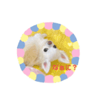 りおのあコロニー❤️1きゅん❤️（個別スタンプ：3）