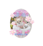 りおのあコロニー❤️1きゅん❤️（個別スタンプ：4）