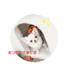 りおのあコロニー❤️1きゅん❤️（個別スタンプ：5）