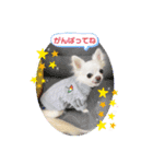 りおのあコロニー❤️1きゅん❤️（個別スタンプ：10）
