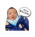 大鳳スタンプ（個別スタンプ：3）